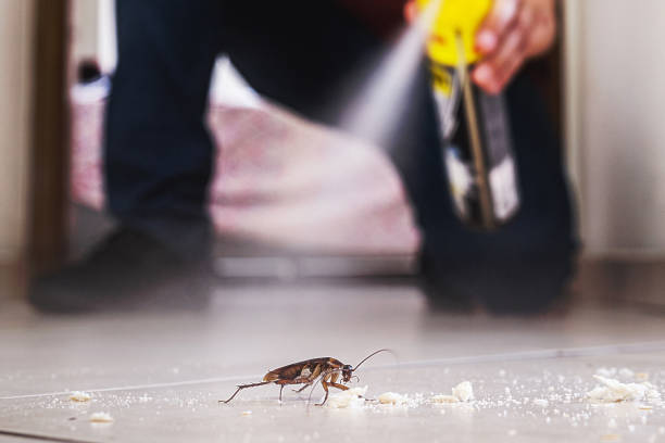 Best Commercial Pest Control Services  in USA